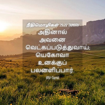 Picture 04 - நீதிமொழிகள் 25:22 TAMIRV - அதினால் அவனை - Bible Verse Picture