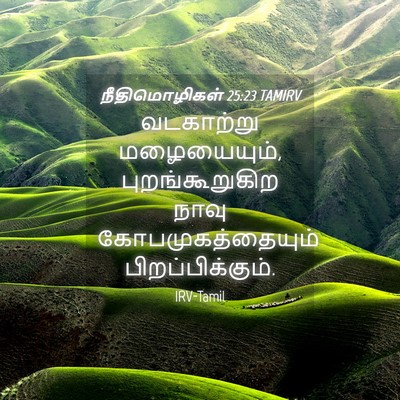 Picture 04 - நீதிமொழிகள் 25:23 TAMIRV - வடகாற்று - Bible Verse Picture