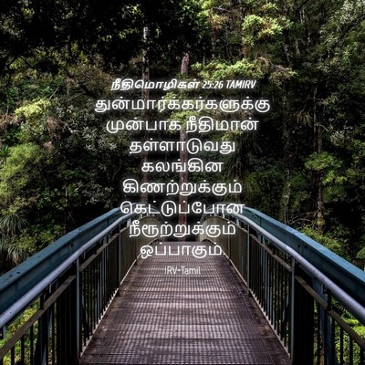 Picture 04 - நீதிமொழிகள் 25:26 TAMIRV -  - Bible Verse Picture