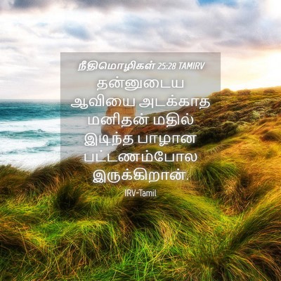Picture 04 - நீதிமொழிகள் 25:28 TAMIRV - தன்னுடைய ஆவியை - Bible Verse Picture