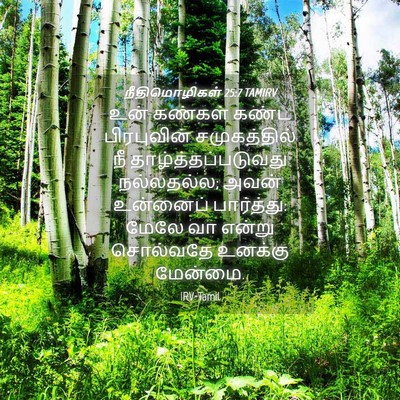 Picture 04 - நீதிமொழிகள் 25:7 TAMIRV - உன் கண்கள் கண்ட - Bible Verse Picture