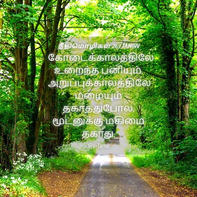 Picture 04 - நீதிமொழிகள் 26:1 TAMIRV - கோடைக்காலத்திலே - Bible Verse Picture