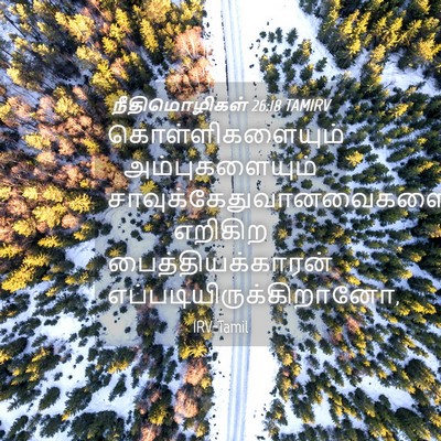 Picture 04 - நீதிமொழிகள் 26:18 TAMIRV - கொள்ளிகளையும் - Bible Verse Picture