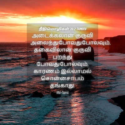 Picture 04 - நீதிமொழிகள் 26:2 TAMIRV - அடைக்கலான் குருவி - Bible Verse Picture