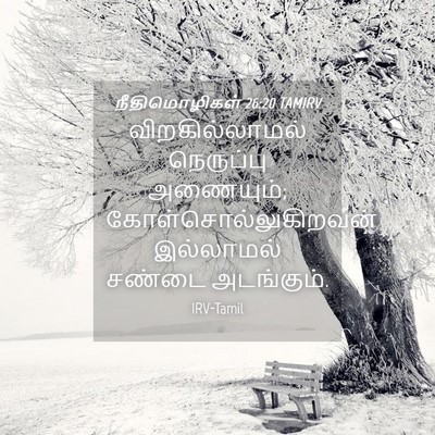 Picture 04 - நீதிமொழிகள் 26:20 TAMIRV - விறகில்லாமல் - Bible Verse Picture