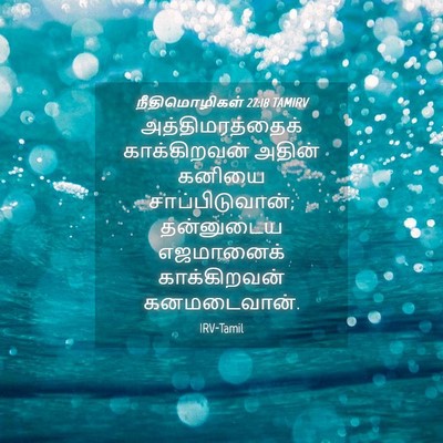 Picture 04 - நீதிமொழிகள் 27:18 TAMIRV - அத்திமரத்தைக் - Bible Verse Picture