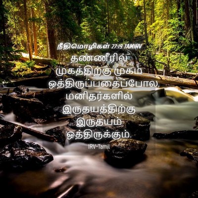 Picture 04 - நீதிமொழிகள் 27:19 TAMIRV - தண்ணீரில் - Bible Verse Picture