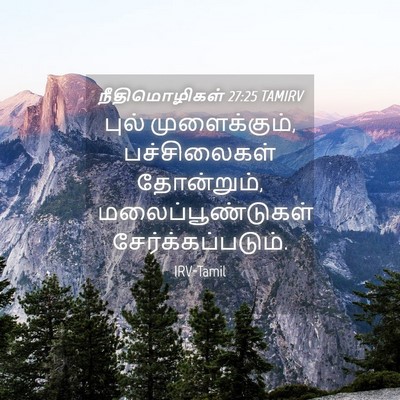 Picture 04 - நீதிமொழிகள் 27:25 TAMIRV - புல் முளைக்கும், - Bible Verse Picture