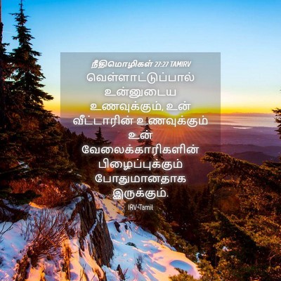 Picture 04 - நீதிமொழிகள் 27:27 TAMIRV - வெள்ளாட்டுப்பால் - Bible Verse Picture