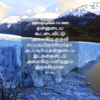 Picture 04 - நீதிமொழிகள் 27:8 TAMIRV - தன்னுடைய - Bible Verse Picture