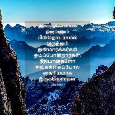 Picture 04 - நீதிமொழிகள் 28:1 TAMIRV - ஒருவனும் - Bible Verse Picture