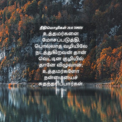 Picture 04 - நீதிமொழிகள் 28:10 TAMIRV - உத்தமர்களை - Bible Verse Picture
