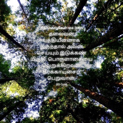 Picture 04 - நீதிமொழிகள் 28:16 TAMIRV - தலைவன் - Bible Verse Picture
