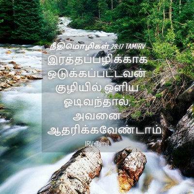 Picture 04 - நீதிமொழிகள் 28:17 TAMIRV - இரத்தப்பழிக்காக - Bible Verse Picture
