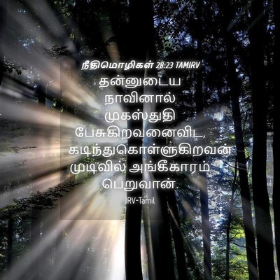 Picture 04 - நீதிமொழிகள் 28:23 TAMIRV - தன்னுடைய நாவினால் - Bible Verse Picture