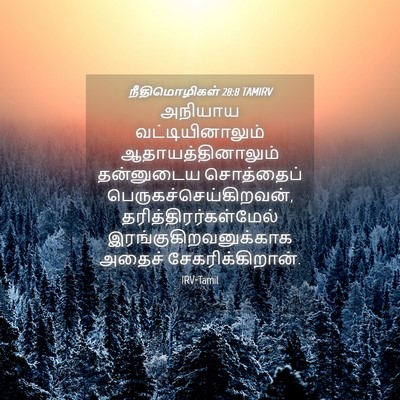 Picture 04 - நீதிமொழிகள் 28:8 TAMIRV - அநியாய - Bible Verse Picture