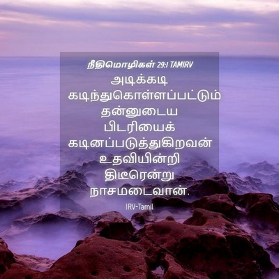 Picture 04 - நீதிமொழிகள் 29:1 TAMIRV - அடிக்கடி - Bible Verse Picture