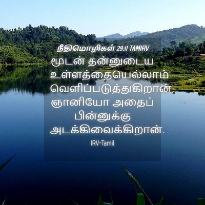 Picture 04 - நீதிமொழிகள் 29:11 TAMIRV - மூடன் தன்னுடைய - Bible Verse Picture