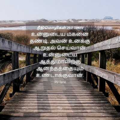 Picture 04 - நீதிமொழிகள் 29:17 TAMIRV - உன்னுடைய மகனை - Bible Verse Picture