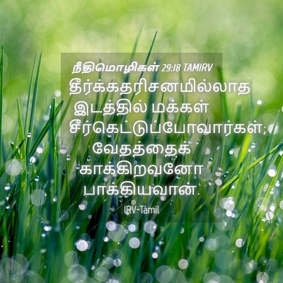 Picture 04 - நீதிமொழிகள் 29:18 TAMIRV -  - Bible Verse Picture