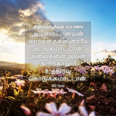 Picture 04 - நீதிமொழிகள் 29:19 TAMIRV - அடிமையானவன் - Bible Verse Picture