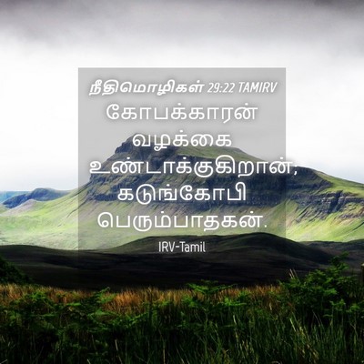Picture 04 - நீதிமொழிகள் 29:22 TAMIRV - கோபக்காரன் வழக்கை - Bible Verse Picture