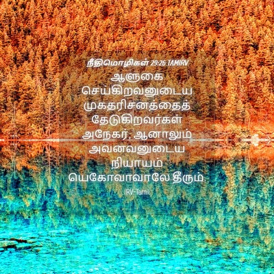 Picture 04 - நீதிமொழிகள் 29:26 TAMIRV - ஆளுகை - Bible Verse Picture