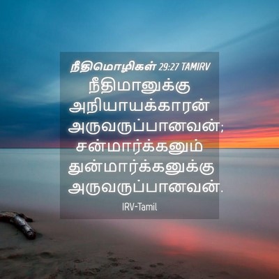 Picture 04 - நீதிமொழிகள் 29:27 TAMIRV - நீதிமானுக்கு - Bible Verse Picture