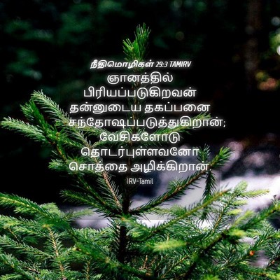 Picture 04 - நீதிமொழிகள் 29:3 TAMIRV - ஞானத்தில் - Bible Verse Picture