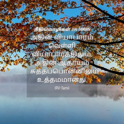Picture 04 - நீதிமொழிகள் 3:14 TAMIRV - அதின் வியாபாரம் - Bible Verse Picture