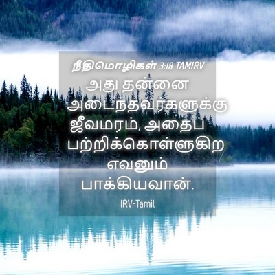 Picture 04 - நீதிமொழிகள் 3:18 TAMIRV - அது தன்னை - Bible Verse Picture