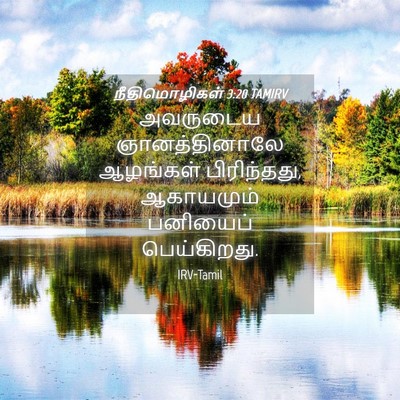 Picture 04 - நீதிமொழிகள் 3:20 TAMIRV - அவருடைய - Bible Verse Picture