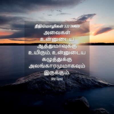 Picture 04 - நீதிமொழிகள் 3:22 TAMIRV - அவைகள் உன்னுடைய - Bible Verse Picture