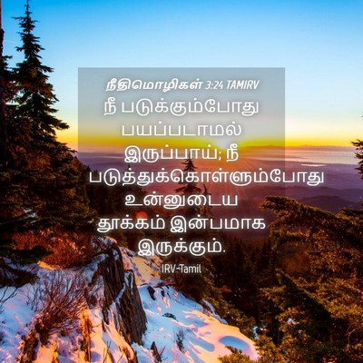 Picture 04 - நீதிமொழிகள் 3:24 TAMIRV - நீ படுக்கும்போது - Bible Verse Picture