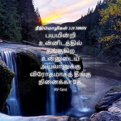 Picture 04 - நீதிமொழிகள் 3:29 TAMIRV - பயமின்றி - Bible Verse Picture