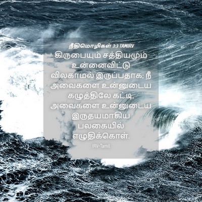 Picture 04 - நீதிமொழிகள் 3:3 TAMIRV - கிருபையும் - Bible Verse Picture