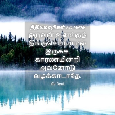 Picture 04 - நீதிமொழிகள் 3:30 TAMIRV - ஒருவன் உனக்குத் - Bible Verse Picture