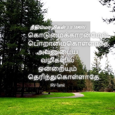 Picture 04 - நீதிமொழிகள் 3:31 TAMIRV -  - Bible Verse Picture