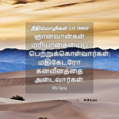 Picture 04 - நீதிமொழிகள் 3:35 TAMIRV - ஞானவான்கள் - Bible Verse Picture