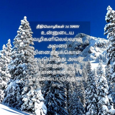 Picture 04 - நீதிமொழிகள் 3:6 TAMIRV - உன்னுடைய - Bible Verse Picture
