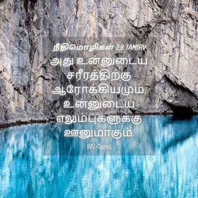 Picture 04 - நீதிமொழிகள் 3:8 TAMIRV - அது உன்னுடைய - Bible Verse Picture