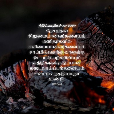 Picture 04 - நீதிமொழிகள் 30:14 TAMIRV - தேசத்தில் - Bible Verse Picture