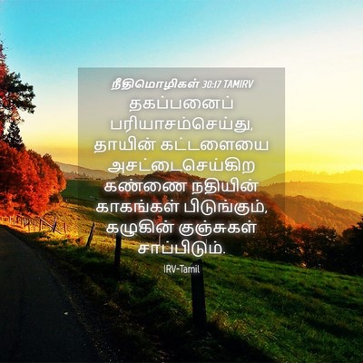 Picture 04 - நீதிமொழிகள் 30:17 TAMIRV - தகப்பனைப் - Bible Verse Picture