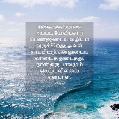 Picture 04 - நீதிமொழிகள் 30:20 TAMIRV - அப்படியே விபசார - Bible Verse Picture