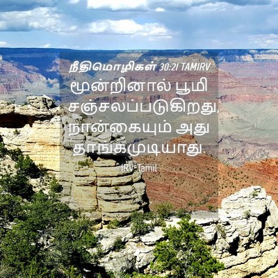 Picture 04 - நீதிமொழிகள் 30:21 TAMIRV - மூன்றினால் பூமி - Bible Verse Picture