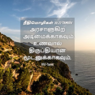 Picture 04 - நீதிமொழிகள் 30:22 TAMIRV - அரசாளுகிற - Bible Verse Picture