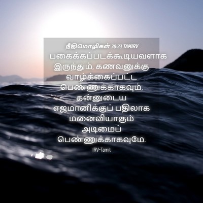 Picture 04 - நீதிமொழிகள் 30:23 TAMIRV -  - Bible Verse Picture