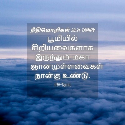 Picture 04 - நீதிமொழிகள் 30:24 TAMIRV - பூமியில் - Bible Verse Picture