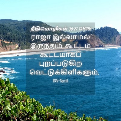 Picture 04 - நீதிமொழிகள் 30:27 TAMIRV - ராஜா இல்லாமல் - Bible Verse Picture