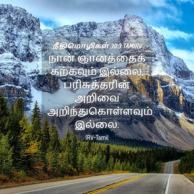 Picture 04 - நீதிமொழிகள் 30:3 TAMIRV - நான் ஞானத்தைக் - Bible Verse Picture